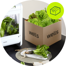 웰스팜 슬림형 기능성 채소패키지